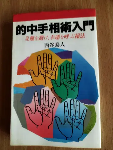 적중 손금술 입문 니시타니 야스토