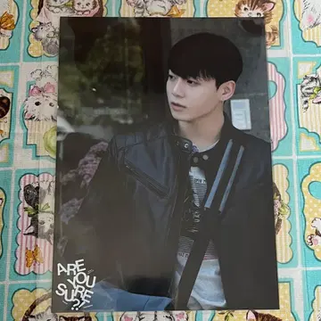 이거 맞아? 정국 브로마이드 유니버셜 특전 jungkook BTS 정국