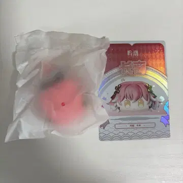 명조 Wuthering Waves 당자 장리