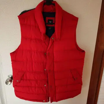 Gap 다운 베스트 레드