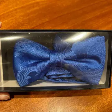 Franco Spada 실크 보타이 파랑