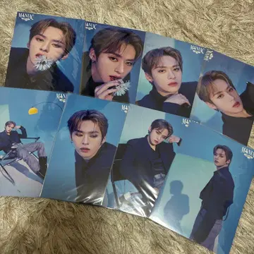 straykids 리노 랜덤 포토카드 maniac 컴플리트