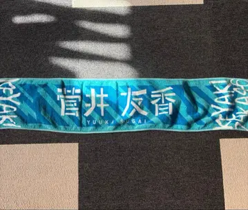 스가이 유카 타월