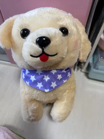 콩시바 삼형제 메이플짱