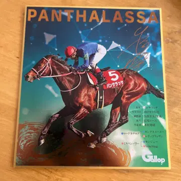 경마 판타지 금박 사인 포함 메탈릭 색지