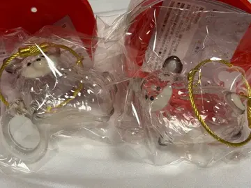 우리 집 강아지 털뭉치 치와와