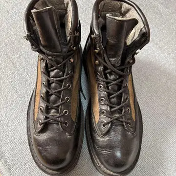 대너 어반 쿠거 21301 한정판 모델