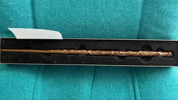 USJ 헤르미온느 지팡이 초기