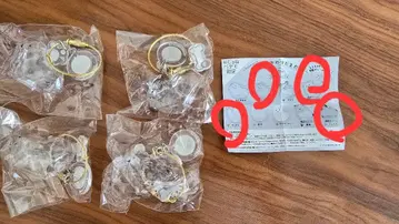 우리 아이 털뭉치 4개