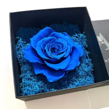 Ado 심장 VIP 특전 세트