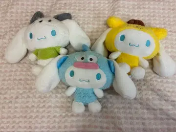 시나몬 20주년 3종 세트