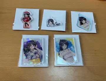 사쿠라지마 마이 제비뽑기당 5종 세트