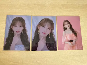 [ HKT48 ] 미야와키 사쿠라 ( 브로마이드 3장 세트 )