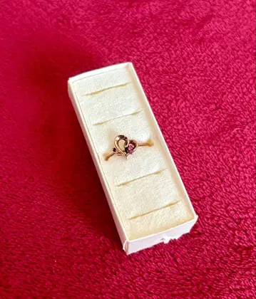 꿈 왕국과 잠자는 100명의 왕자님 꿈 100 원더랜드 반지