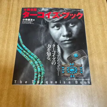 완전판 터콰이즈 북