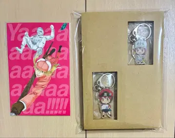 일하는 세포 아크릴 키링 엽서