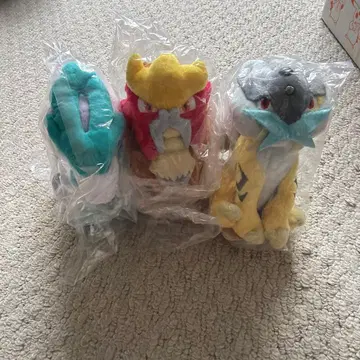 포켓몬 핏 스이쿤 엔테이 라이코우 fit