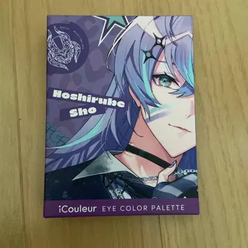 니지산지 별이 끄는 쇼 쉐도우 팔레트