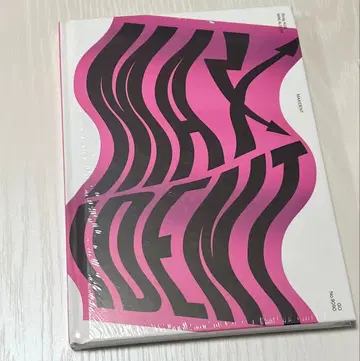 스트레이 키즈 MAXIDENT 한정판 Go ver 미개봉 새상품