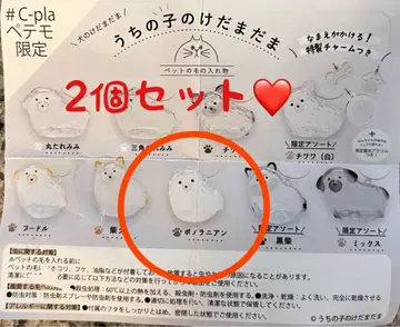 우리 아이 털뭉치 강아지 가챠 포메라니안 2종 세트