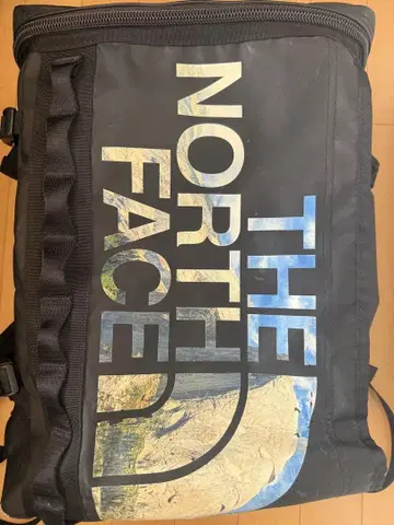 THE NORTH FACE 중형 백팩