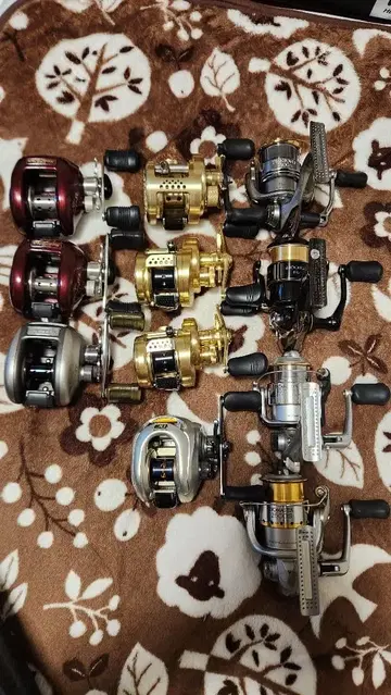 배스 낚시 은퇴 낚시릴 묶음 판매