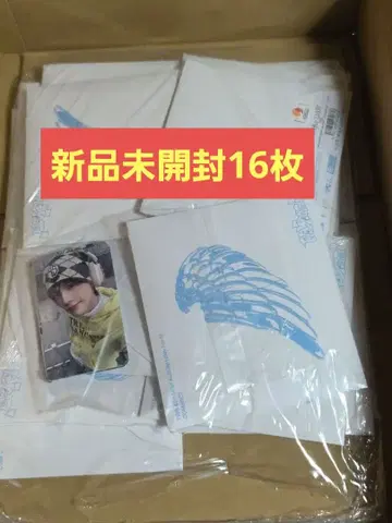 TWS play hard compact ver 16장 트레이딩 카드 포함