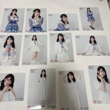 사사키 마이카 2022 생일 브로마이드 12장 세트