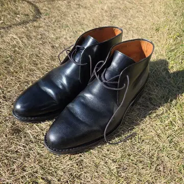 자라 스리 와야 처카 부츠