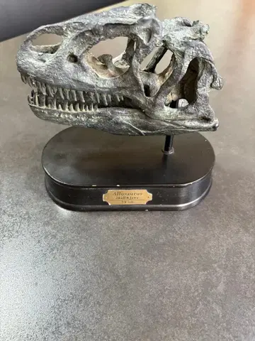 공룡 (알로사우루스) 머리 모형 블랙 컬러 받침대 포함