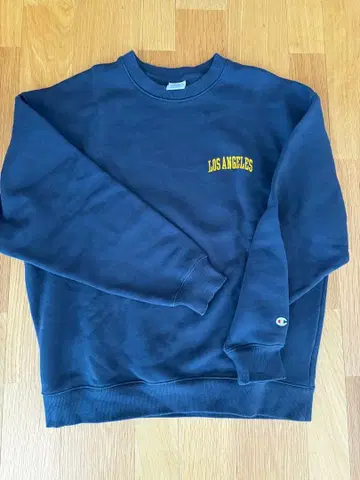 챔피온 맨투맨 속기모