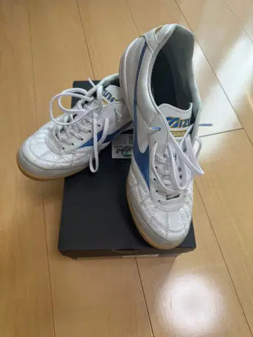모렐리아 사라 재팬 인 MIZUNO ENERZY 25.5cm