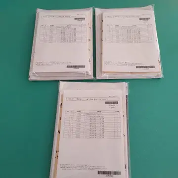 사법시험 예비시험 2024년 답안 연습 [논문] 전 과목 총 18회분