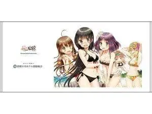 히나비타 10주년 기념 빅 타월