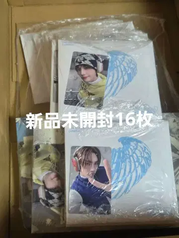 TWS play hard 3 형태 총 16장 전 트레이딩 카드 포함