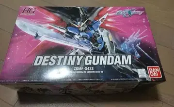 HG 디스티니 건담