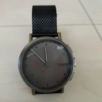 SKAGEN SIGNATUR 하이브리드 손목시계 그레이