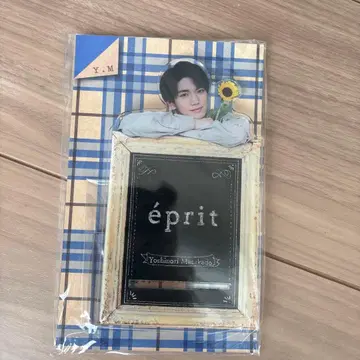 정문량규 아크릴 스마트폰 스탠드