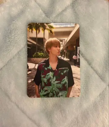 오고에 유키 트레이딩 카드