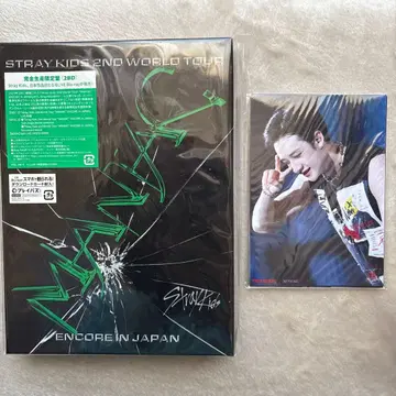 STRAY KIDS 2ND WORLD TOUR MANIAC ENCORE