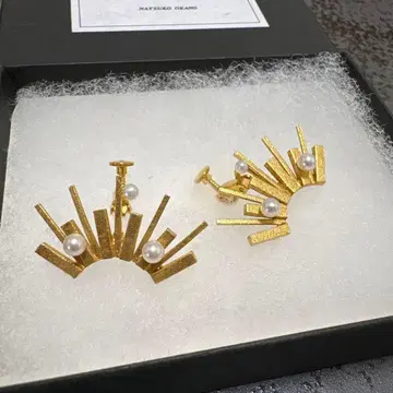 코스모스 노스탤지 귀찌