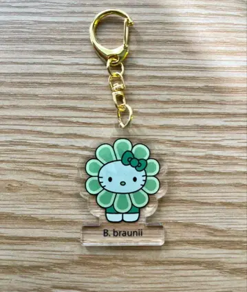 EXPO2025 오사카 만박 일본관 해조 키티 키링 B. braunii