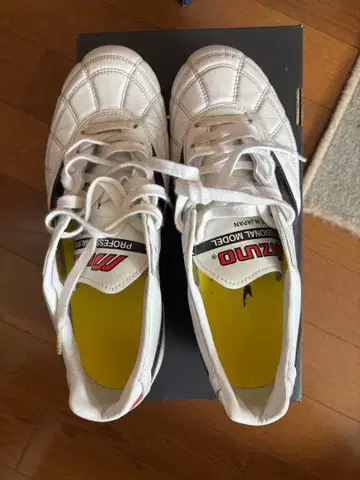 모렐리아 2 JAPAN 크로스 스티치