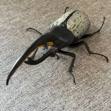 헤라클레스 리키 가챠