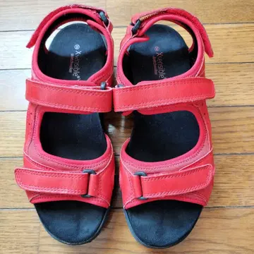 노사카 스트레치 워커