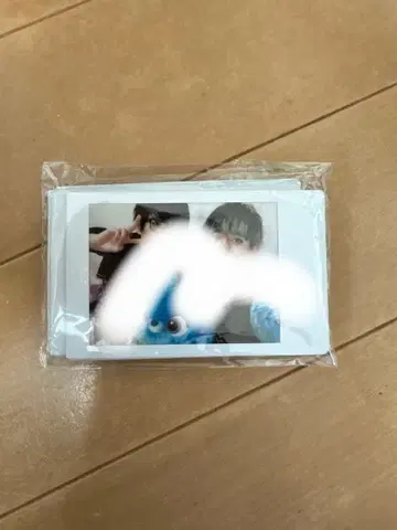 팬더드래곤 폴라로이드 사진 8장 세트