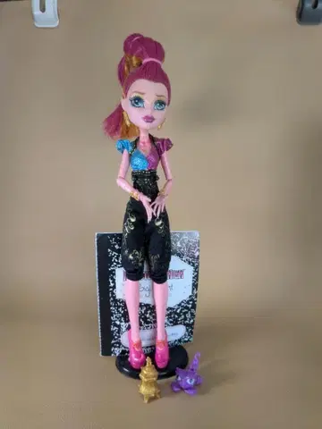 MONSTER 하이 13 wishes Gigi 지지 그랑 몬스터 하이