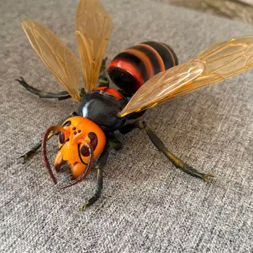 생물대도감 말벌