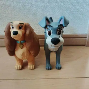 완완 이야기 마법의 프렌즈 레이디 & 카드놀이