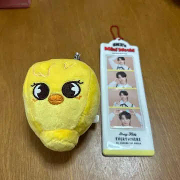 필릭스 세트 straykids